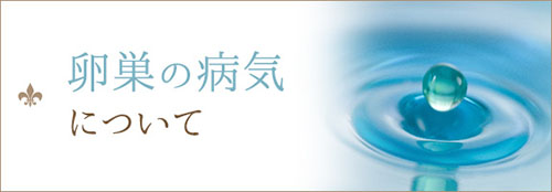 卵巣の病気について