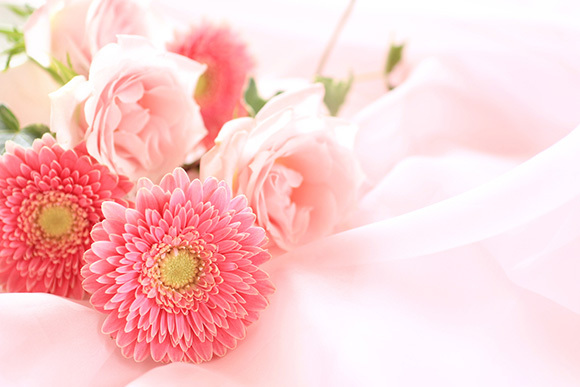 写真：花